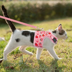 Harnas Kraag Escape Proof Tuig En Leiband Set Ademend Kitten Puppy Kleine Honden Borst Vest Geen Pull - Ruffy