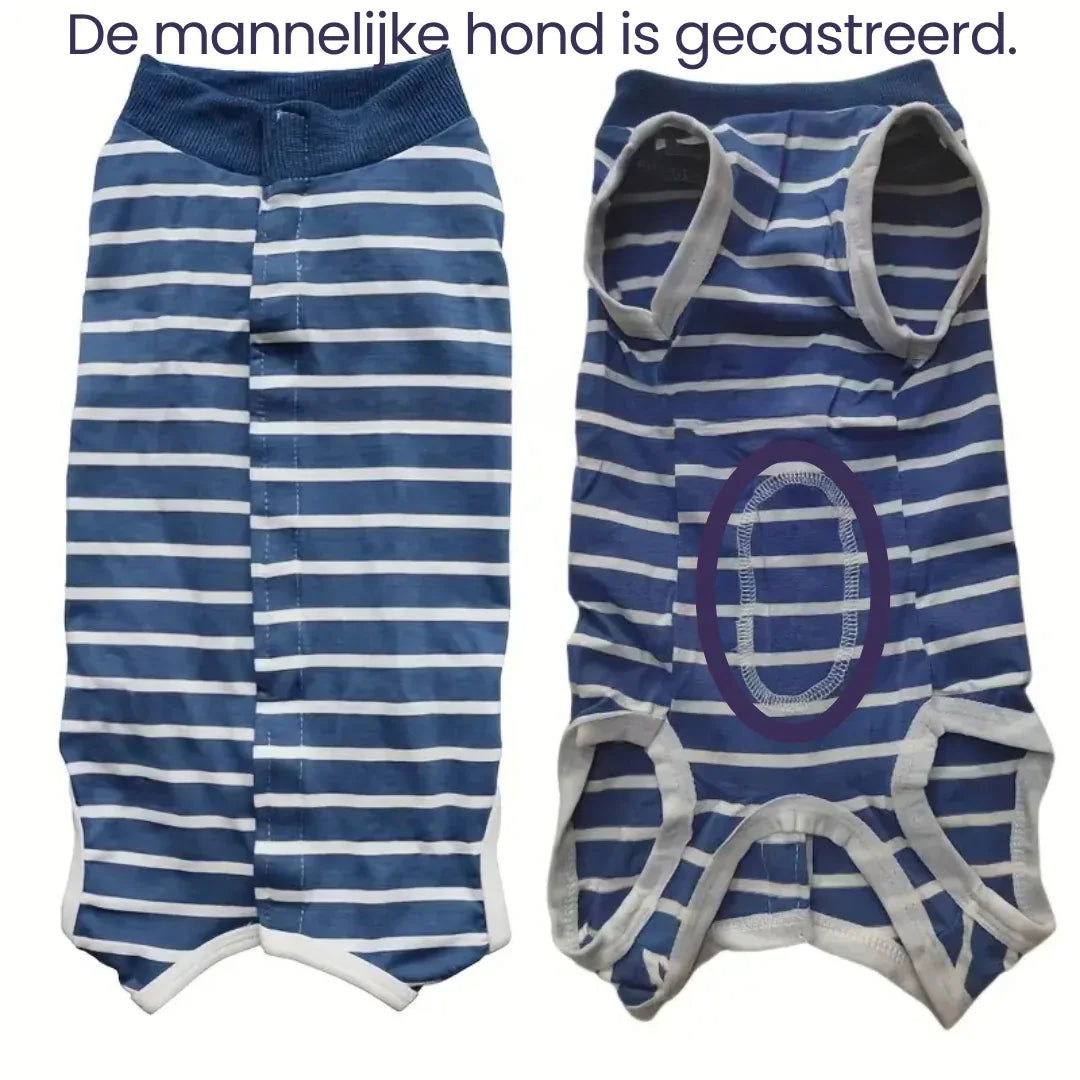 Hondenkleding Voor Herstel Na Operatie - Ruffy