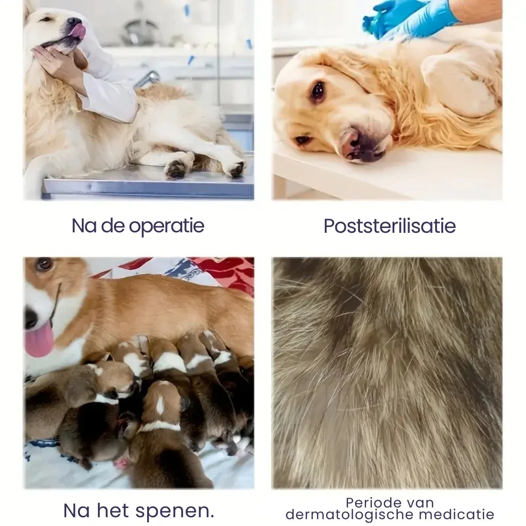 Hondenkleding Voor Herstel Na Operatie - Ruffy