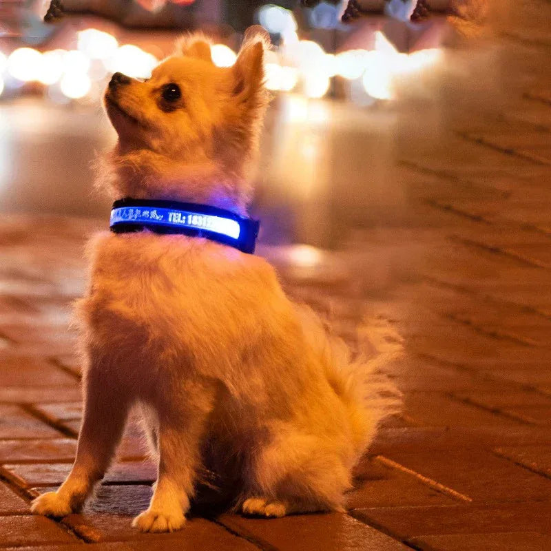 Gepersonaliseerde LED-halsband Voor Honden - Ruffy