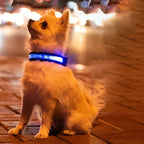 Gepersonaliseerde LED-halsband Voor Honden - Ruffy