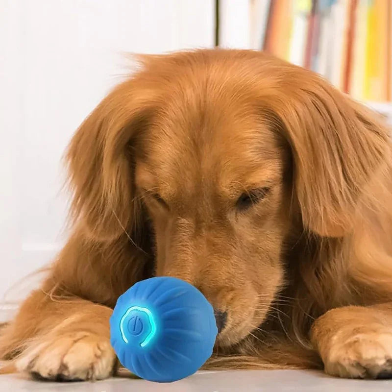 Houd je hond actief en vermaakt met onze slimme, zelfoprollende speelbal - Ruffy
