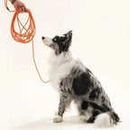 Extra Lange Honden Leiband Riem Stevig Waterproof - Ruffy