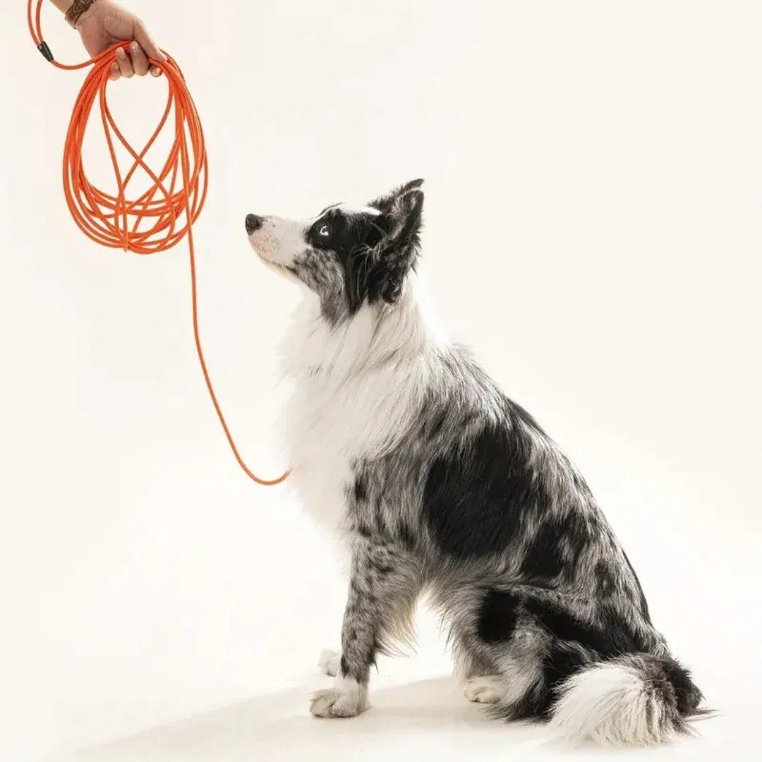 Extra Lange Honden Leiband Riem Stevig Waterproof - Ruffy