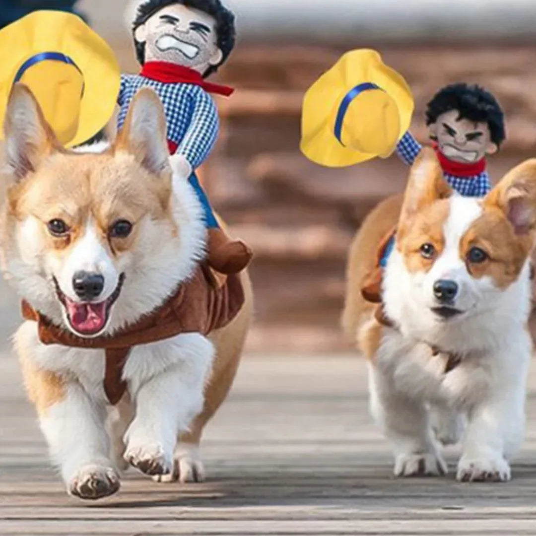 Grappig Cowboy Hondenkostuum Comfortabel Machinewasbaar Perfect Voor Halloween en Verkleedfeestjes - Ruffy