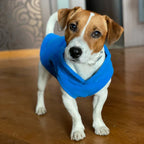 D-Ring Warme Fleece Hondenkleding - Ruffy