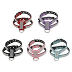 Stijlvol Hondentuig Bling Nepdiamantjes - Ruffy