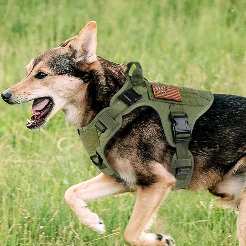 Duurzaam Molle-Systeem Hondenharnas – Robuust 1050D Nylon met Verbeterde Controle en Snelontgrendelbare Gespen - Ruffy