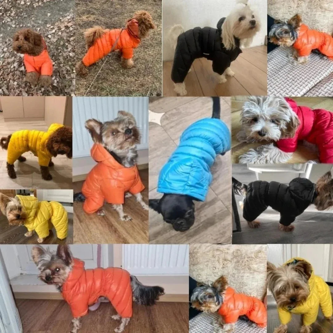Kleine en Medium Hondenjas Winter Dons Machinewasbaar, Waterdicht - Ruffy