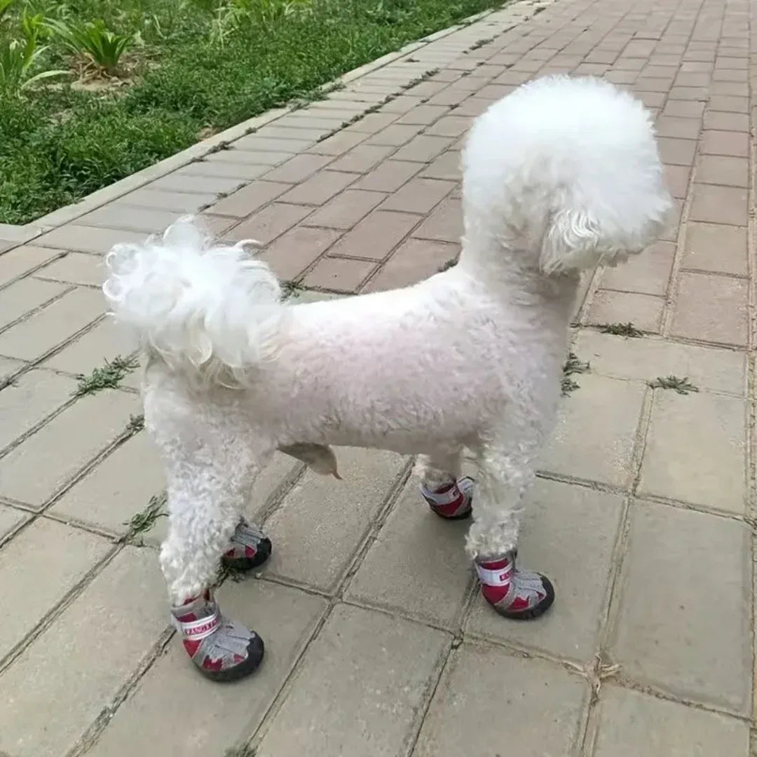 Antislipschoenen Voor Kleine Honden Beschermt Poten Comfortabel Ademende Materialen Veilig Rubber Polyester - Ruffy