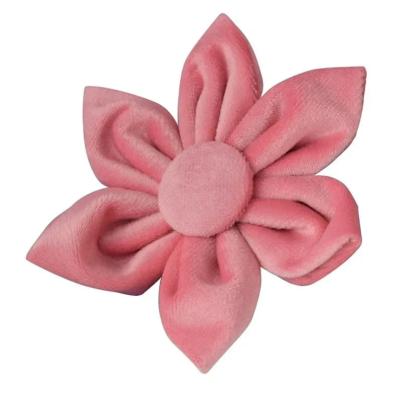 Stijlvolle Bloemmotief Hondenset Met Halsband, Harnas, Riem en Bloemenaccessoire - Ruffy