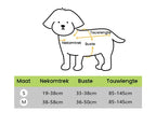 Lichte Kleur Hondentuig Leiband Set Voor Kleine Honden - Ruffy