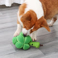 Snuffelende Broccoli Interactieve Traktatie Speelgoed - Ruffy