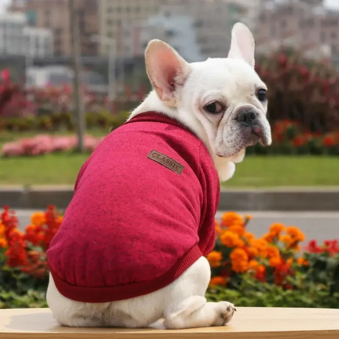 Ademend Vest voor Honden – Warm Comfortabel en Stijlvol - Ruffy