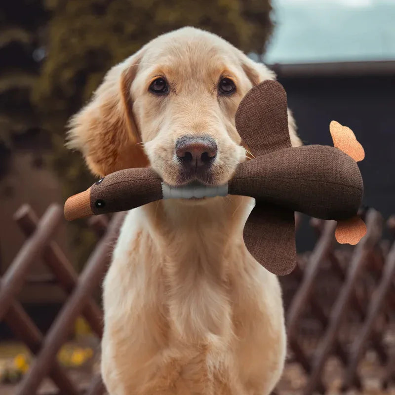 Honden Kauwspeelgoed | Duurzaam Gans Ontwerp | Tandverzorging | 1+1 Set - Ruffy