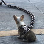 Hondenriem | Zware Dikke Plastic Ketting | Veilige Clip | Voor Grote Honden - Ruffy