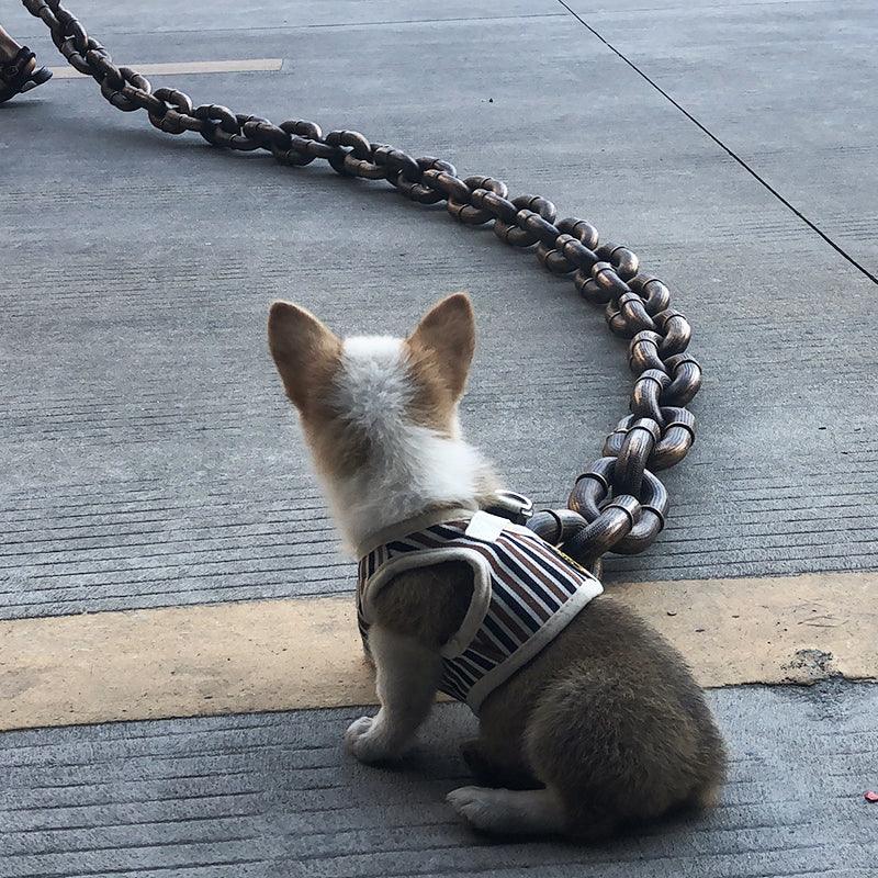 Hondenriem | Zware Dikke Plastic Ketting | Veilige Clip | Voor Grote Honden - Ruffy