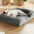 Orthopedisch Hondenkussen | Memory Foam Ondersteuning | Antislip Bodem & Wasbare Hoes - Ruffy