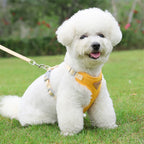 Kleine Honden Tuig Pastel Kleuren - Ruffy