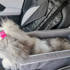 Draagbare Autostoel Voor Huisdieren Veilig Comfortabel Lichtgewicht Eenvoudig Te Installeren Voor Reizen - Ruffy