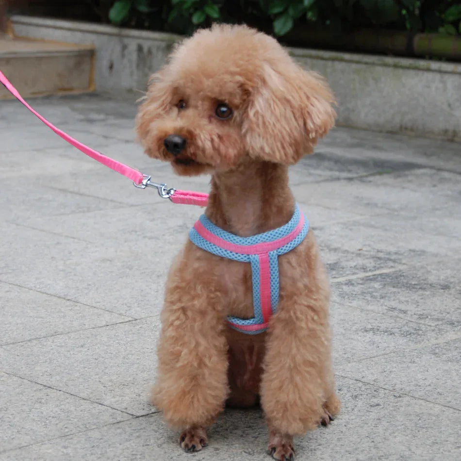 Reflecterend Ademend Mesh Harnas Voor Kleine Honden Veiligheid Comfort Verstelbaar Nylon Zinken Legering Haak - Ruffy