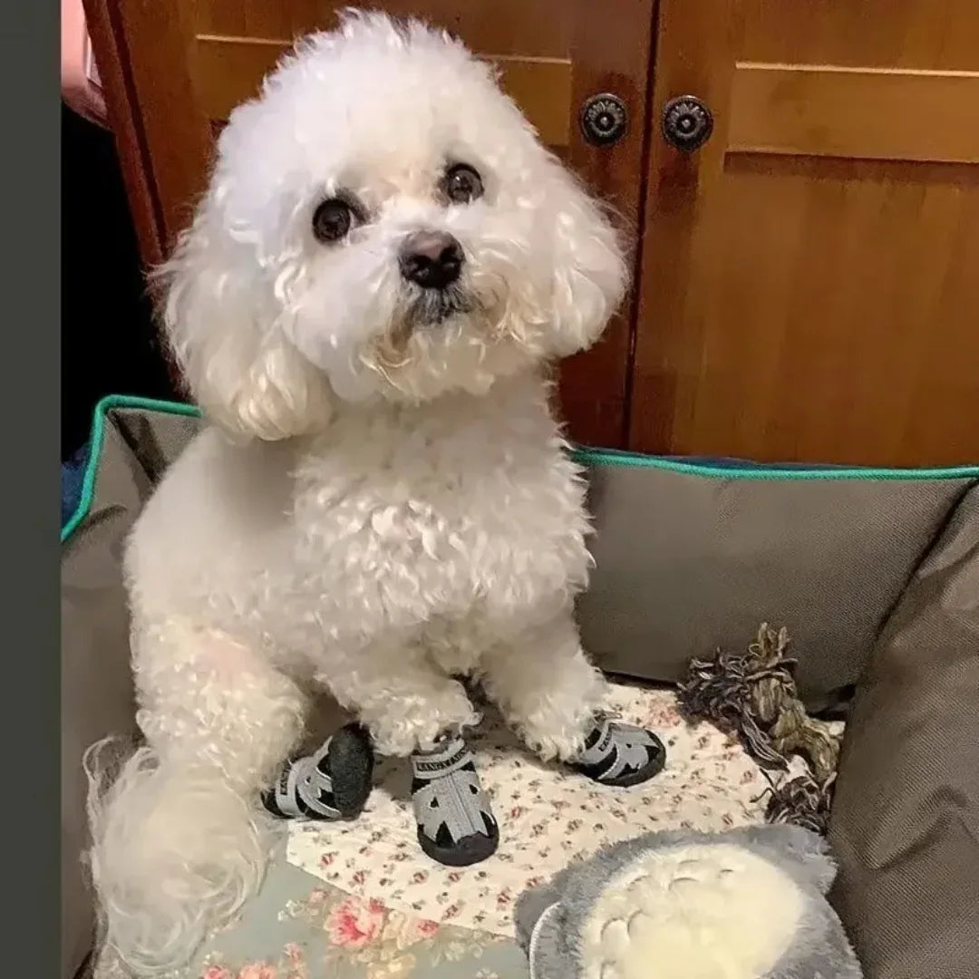 Antislipschoenen Voor Kleine Honden Beschermt Poten Comfortabel Ademende Materialen Veilig Rubber Polyester - Ruffy