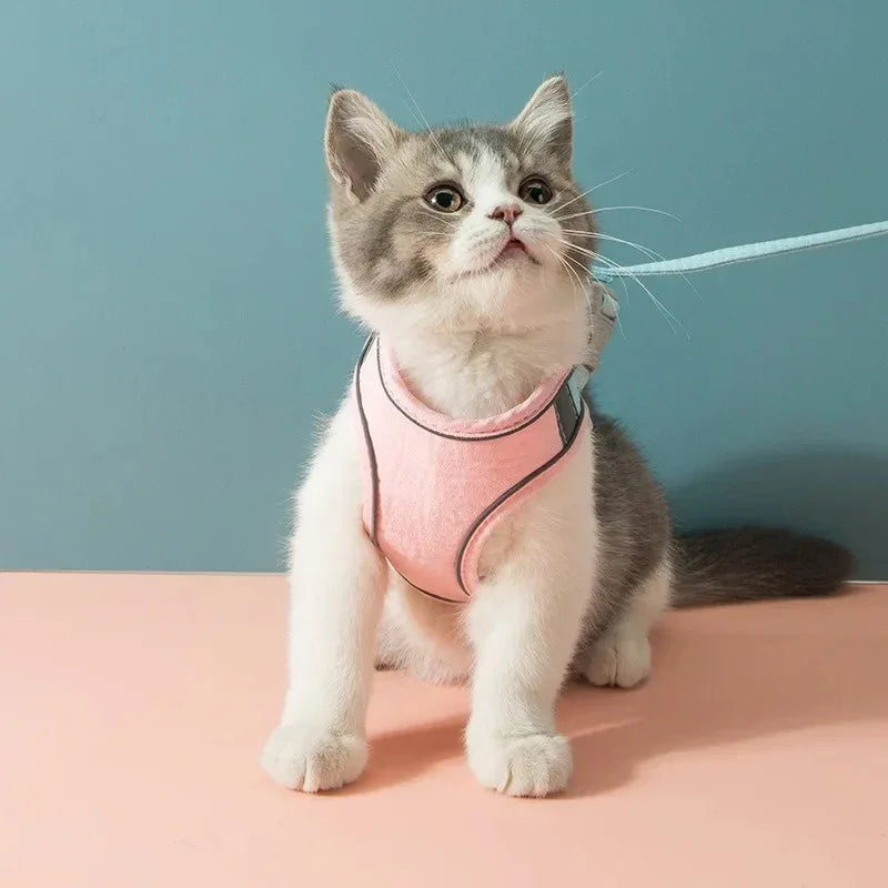 Reflecterend kattentuigje met trekvrij ontwerp en verstelbare pasvorm – comfortabele suède stof - Ruffy