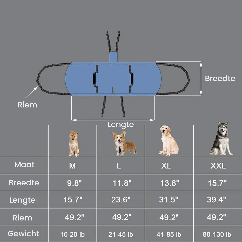 Honden Wandelhulpband Ergonomisch Duurzaam Ondersteuning bij Herstel Beschikbaar in M tot XXL - Ruffy
