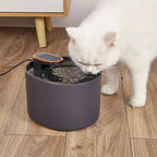 Intelligente Hondenfontein Met Sensor 3L Gefilterd Water Automatisch en Energiezuinig - Ruffy