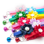Wholesale 100 stuks verstelbare bloem halsband hond Puppy Tuig kat huisdier halsband release gesp schattig voor Puppy ketting met bel - Ruffy