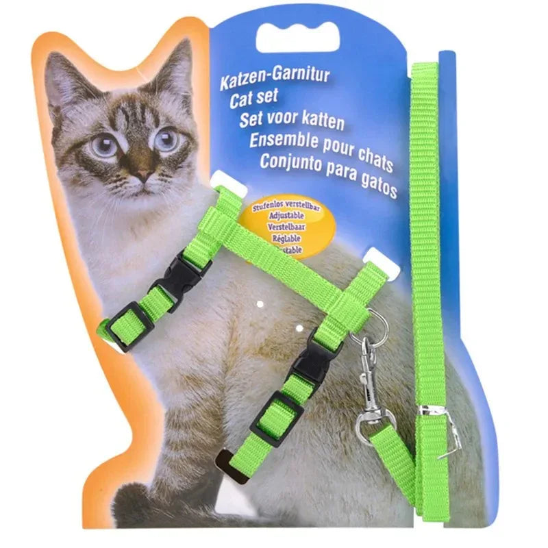 Duurzaam verstelbaar nylon kattentuig met bijpassende riem – veiligheid en comfort voor actieve katten - Ruffy