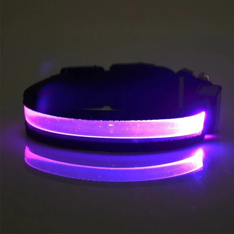 Gepersonaliseerde LED-halsband Voor Honden - Ruffy