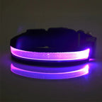 Gepersonaliseerde LED-halsband Voor Honden - Ruffy