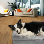 Orthopedisch Hondenkussen | Memory Foam Ondersteuning | Antislip Bodem & Wasbare Hoes - Ruffy