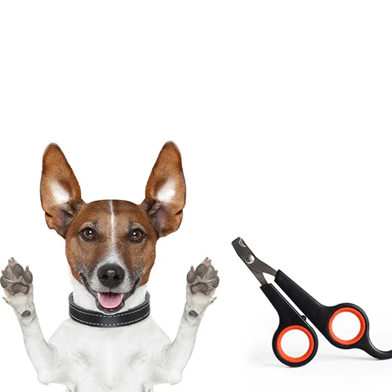 Professionele Nagelknipper Huisdieren Scherpe Bladen Ergonomisch Handvat Stressvrij Roestvrij Staal Multicolor - Ruffy