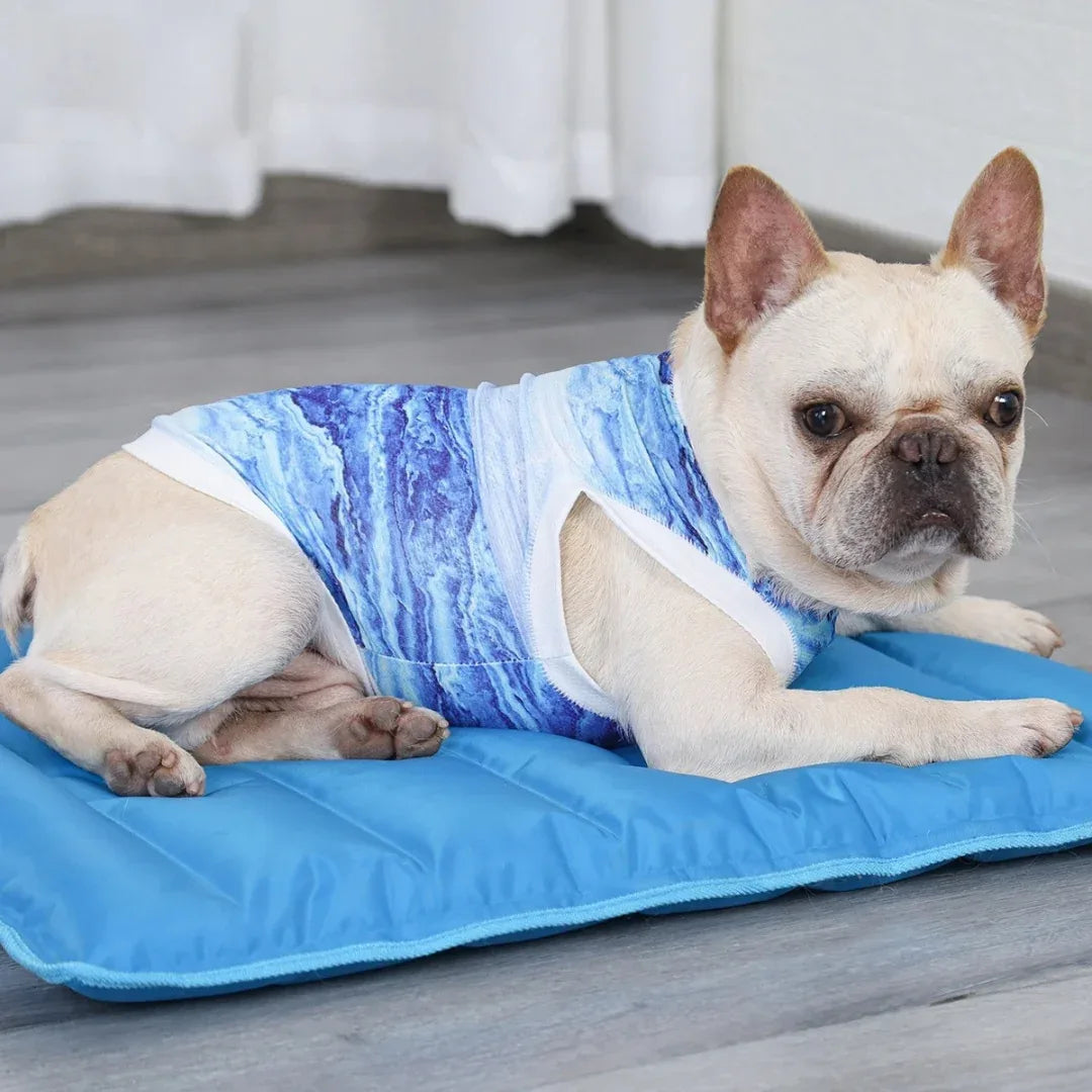 koel kleding voor honden - Ruffy