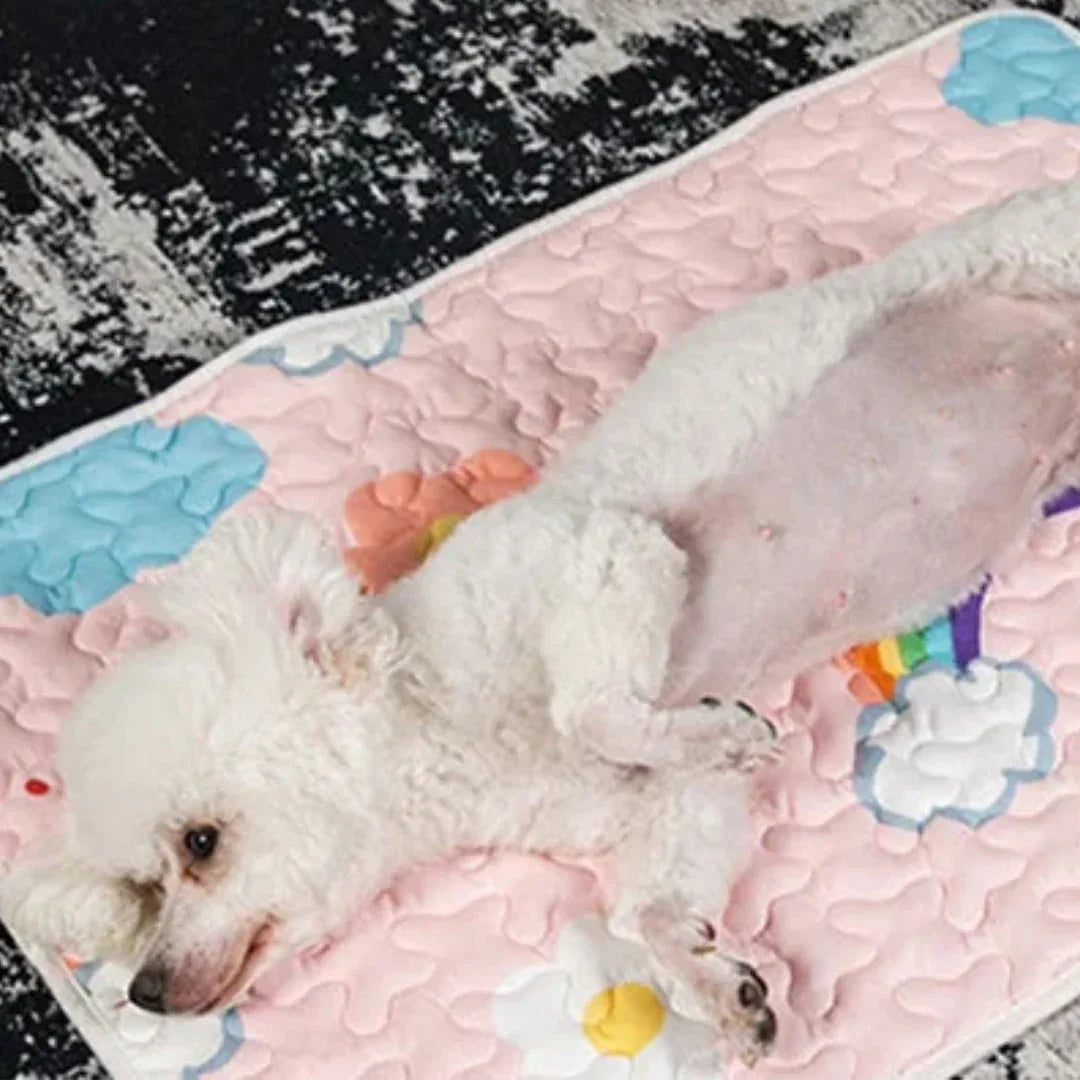 Zachte Slaapdeken Huisdieren Ademend Comfortabel Herbruikbaar Wasbaar Katoen Lichtgewicht Voor Honden en Katten - Ruffy