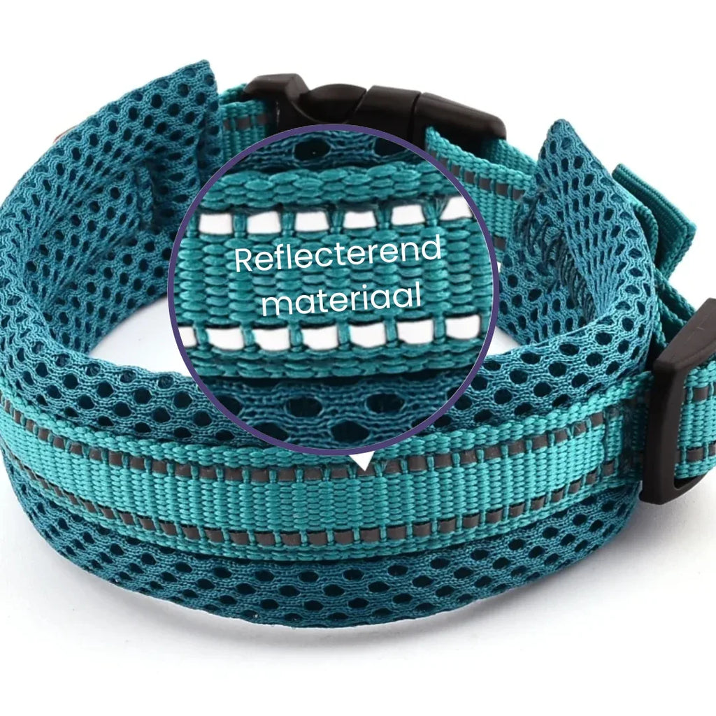 Verstelbare Gevoerde Reflecterende Nylon Hondenhalsband Comfortabel Duurzaam Veilig Voor Training en Wandelingen - Ruffy