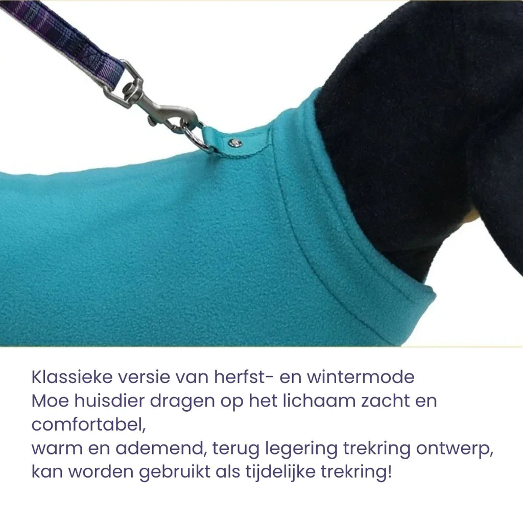 Hondentractievest Ademend Lichtgewicht Comfortabel Perfect Voor Lente en Zomer Buitenavonturen - Ruffy