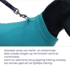 Hondentractievest Ademend Lichtgewicht Comfortabel Perfect Voor Lente en Zomer Buitenavonturen - Ruffy