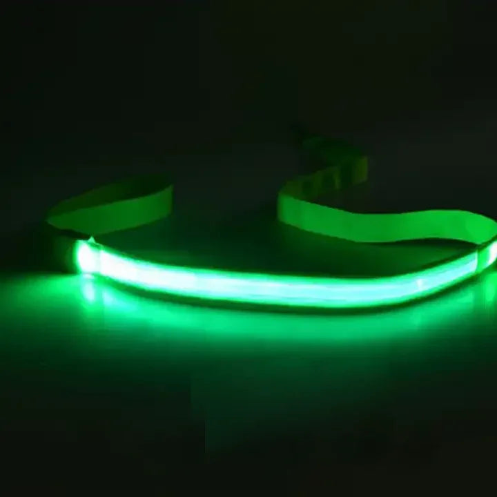 LED USB Oplaadbare Veiligheidsriem Voor Honden - Ruffy