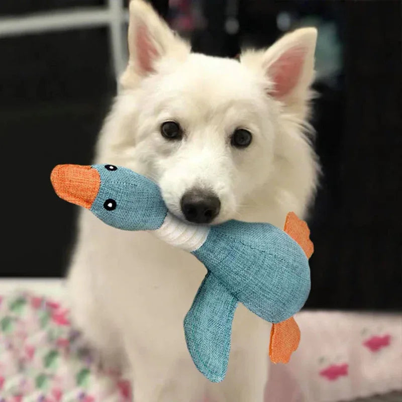 Honden Kauwspeelgoed | Duurzaam Gans Ontwerp | Tandverzorging | 1+1 Set - Ruffy