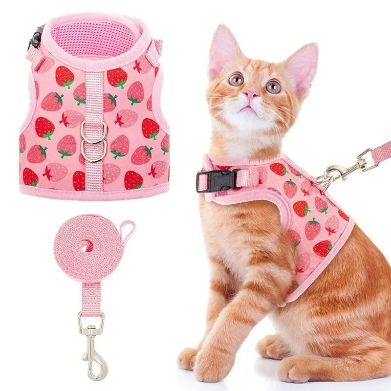 Harnas Kraag Escape Proof Tuig En Leiband Set Ademend Kitten Puppy Kleine Honden Borst Vest Geen Pull - Ruffy