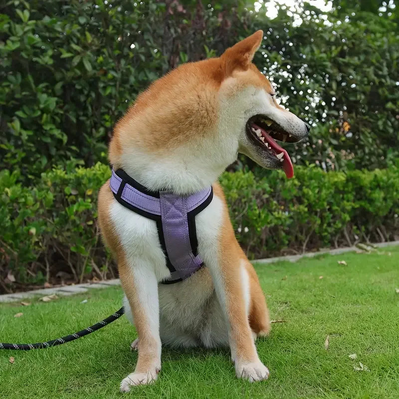 Anti-ontsnap Reflecterend Honden Tuig Met Handvat - Ruffy