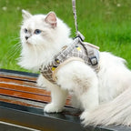 Reflecterend verstelbaar huisdierharnas met zachte vulling – veiligheid en comfort voor honden en katten - Ruffy
