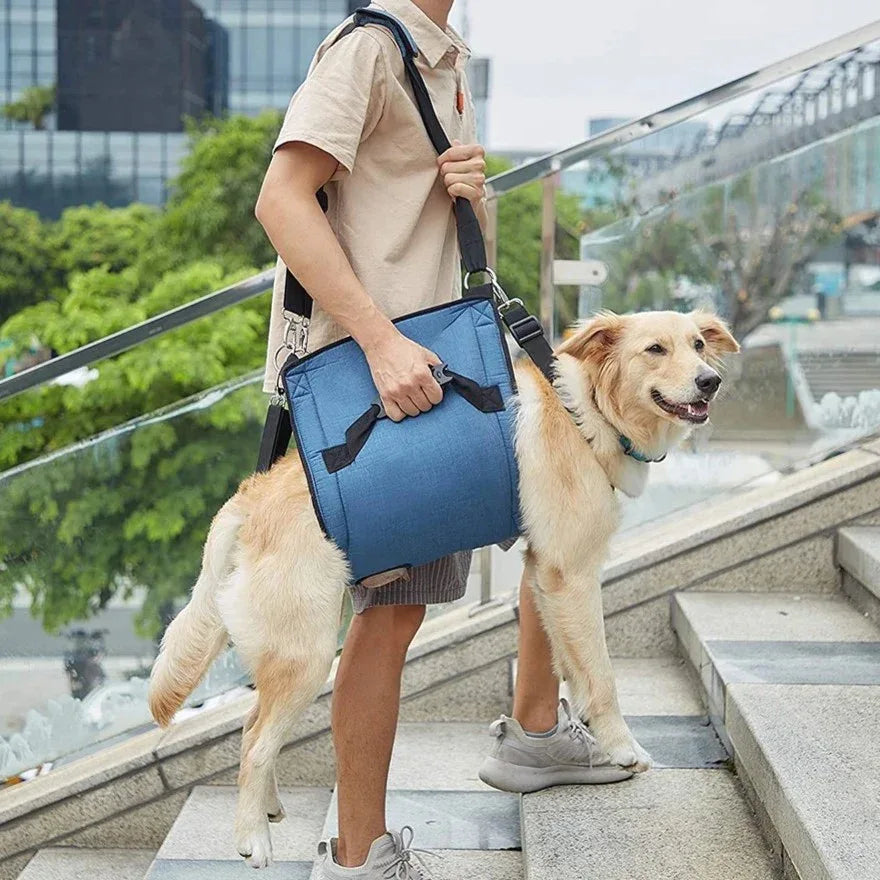 Honden Wandelhulpband Ergonomisch Duurzaam Ondersteuning bij Herstel Beschikbaar in M tot XXL - Ruffy