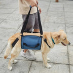 Honden Wandelhulpband Ergonomisch Duurzaam Ondersteuning bij Herstel Beschikbaar in M tot XXL - Ruffy