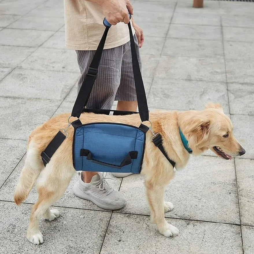 Honden Wandelhulpband Ergonomisch Duurzaam Ondersteuning bij Herstel Beschikbaar in M tot XXL - Ruffy