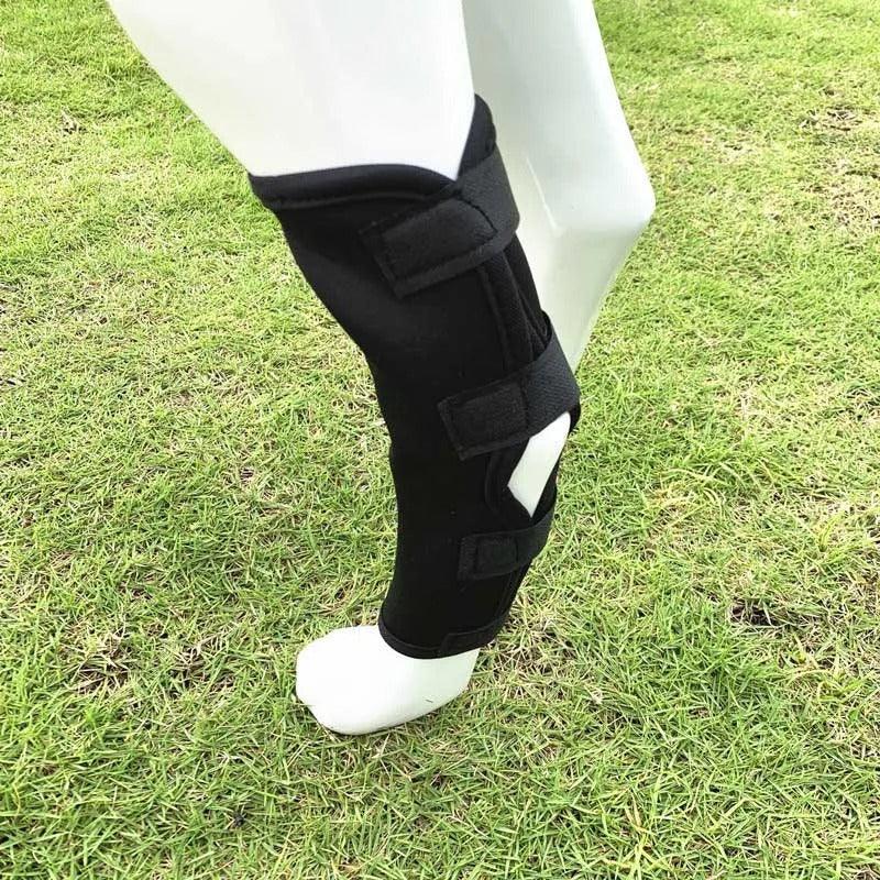 Hondenkniebrace | Orthopedische Ondersteuning | Verstelbare Compressiewrap - Ruffy