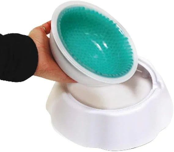 Verkoelende Hondenwaterbak Duurzaam Draagbaar Houdt Water Koel Beschikbaar in Groen en Blauw 470ml - Ruffy